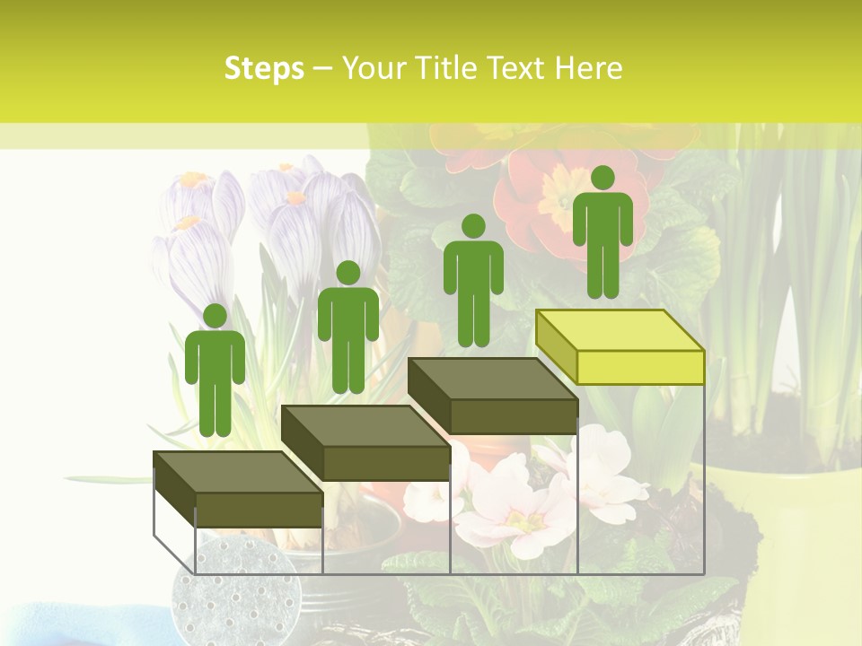 Red Plant Narcissus PowerPoint Template