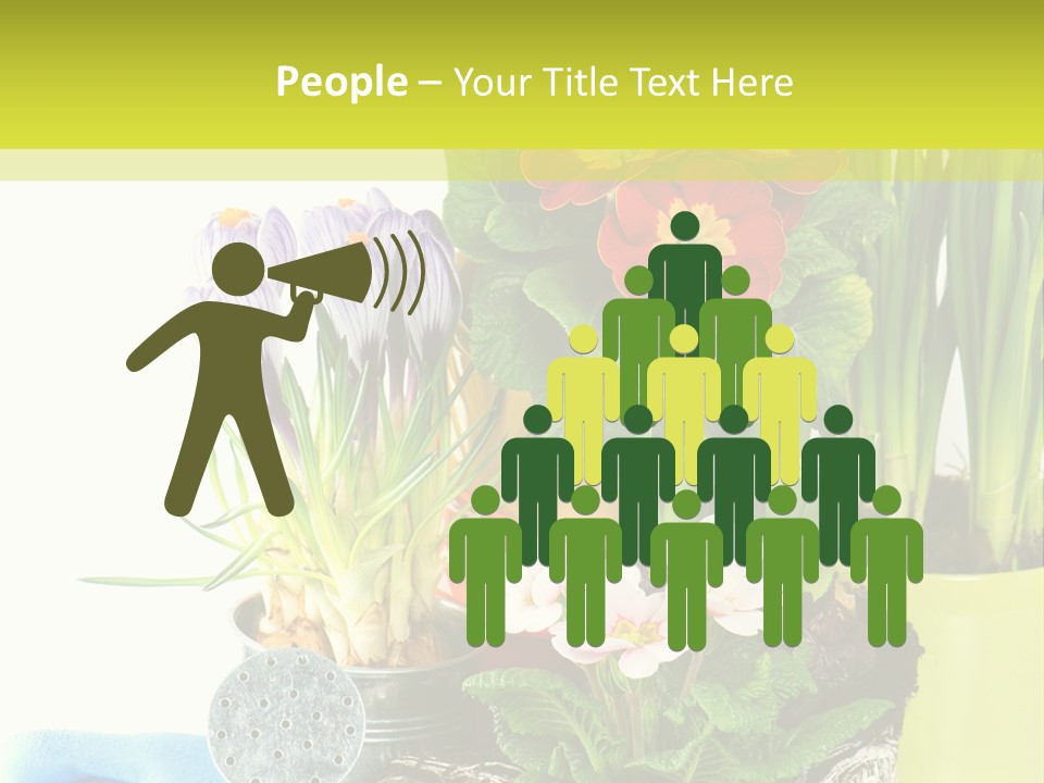 Red Plant Narcissus PowerPoint Template