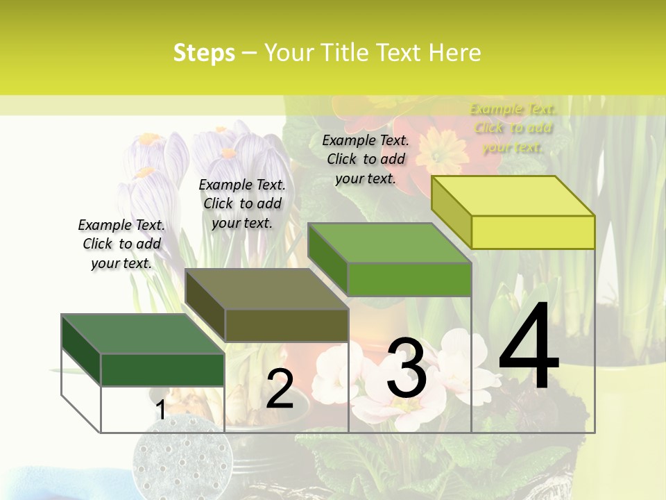 Red Plant Narcissus PowerPoint Template