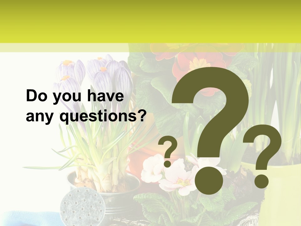 Red Plant Narcissus PowerPoint Template