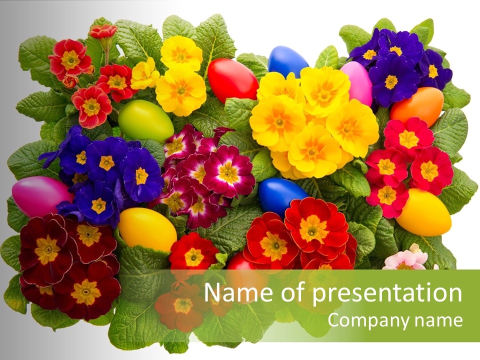 Multicolor Rose Decorative PowerPoint Template