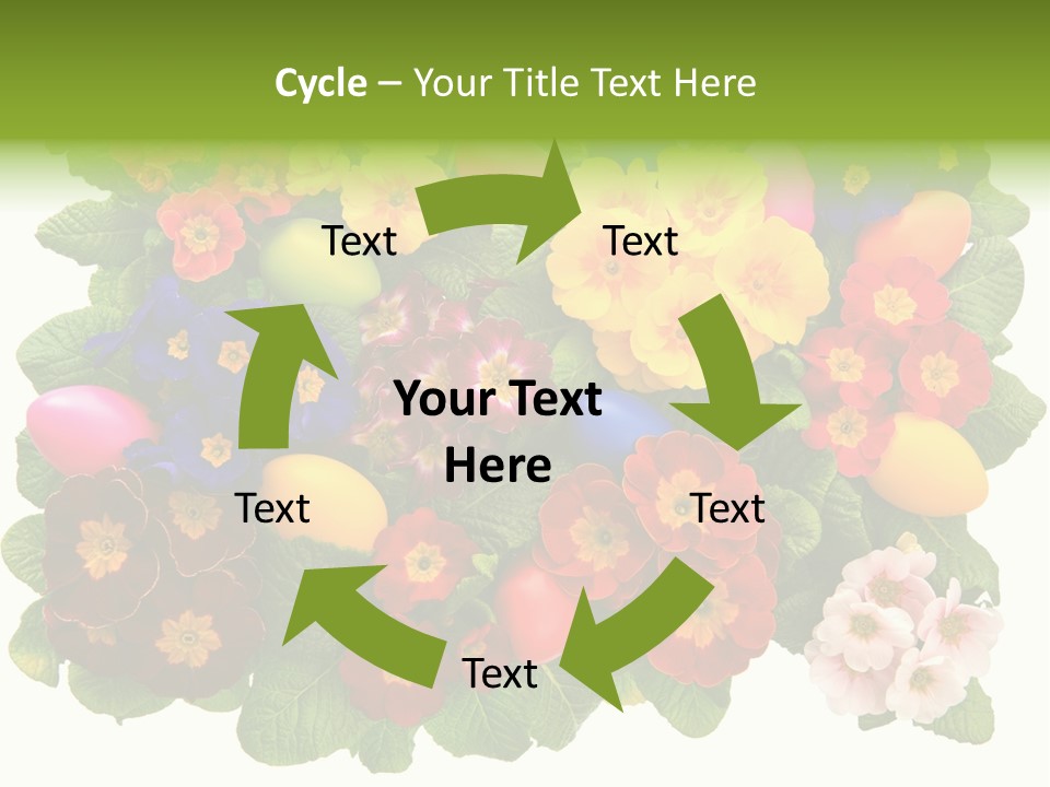 Multicolor Rose Decorative PowerPoint Template