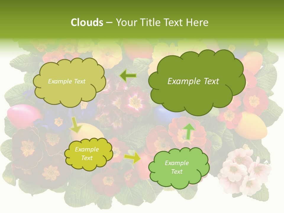 Multicolor Rose Decorative PowerPoint Template