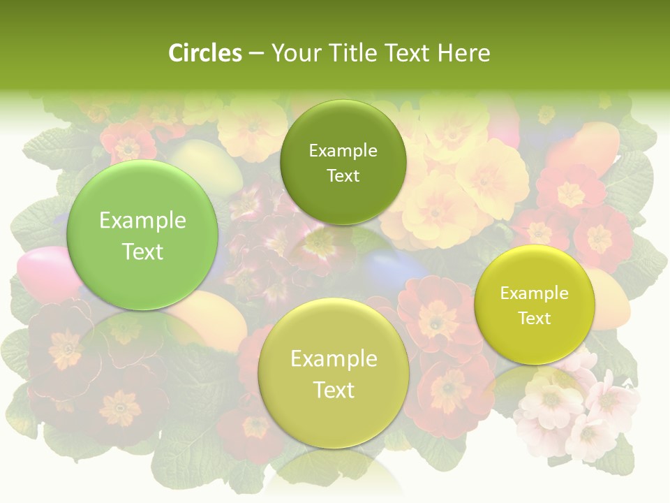 Multicolor Rose Decorative PowerPoint Template