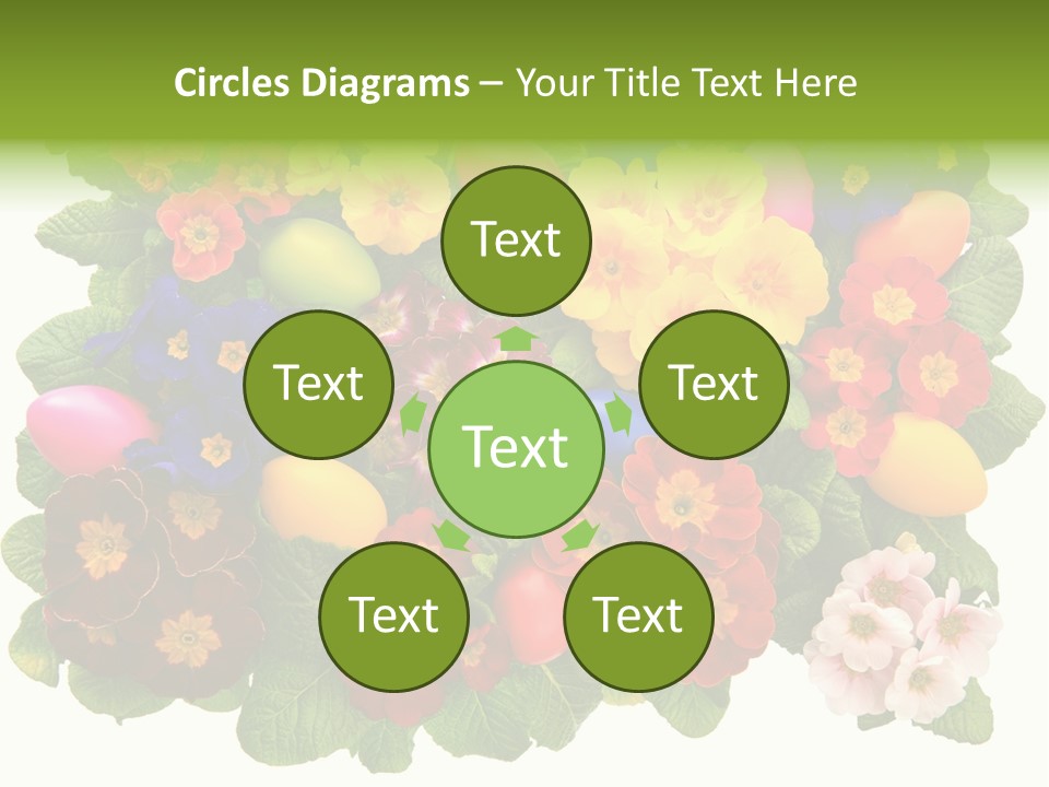 Multicolor Rose Decorative PowerPoint Template