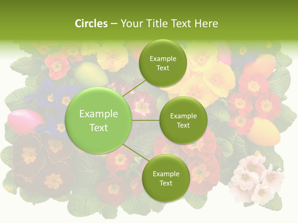 Multicolor Rose Decorative PowerPoint Template