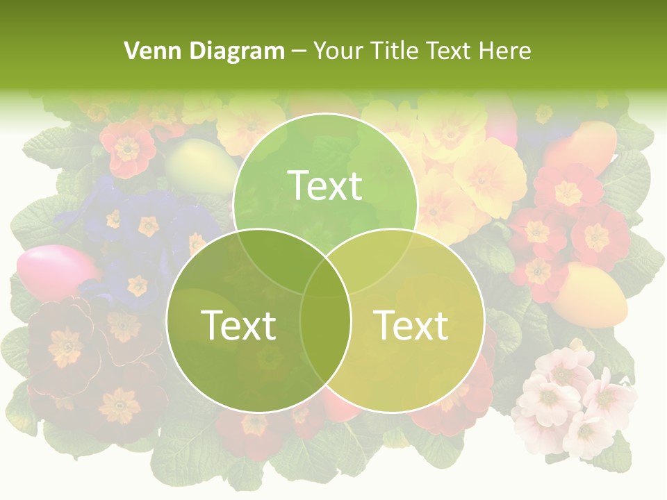 Multicolor Rose Decorative PowerPoint Template