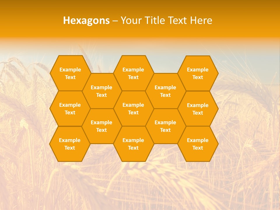 Group Farm Nobody PowerPoint Template