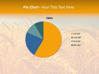 Group Farm Nobody PowerPoint Template