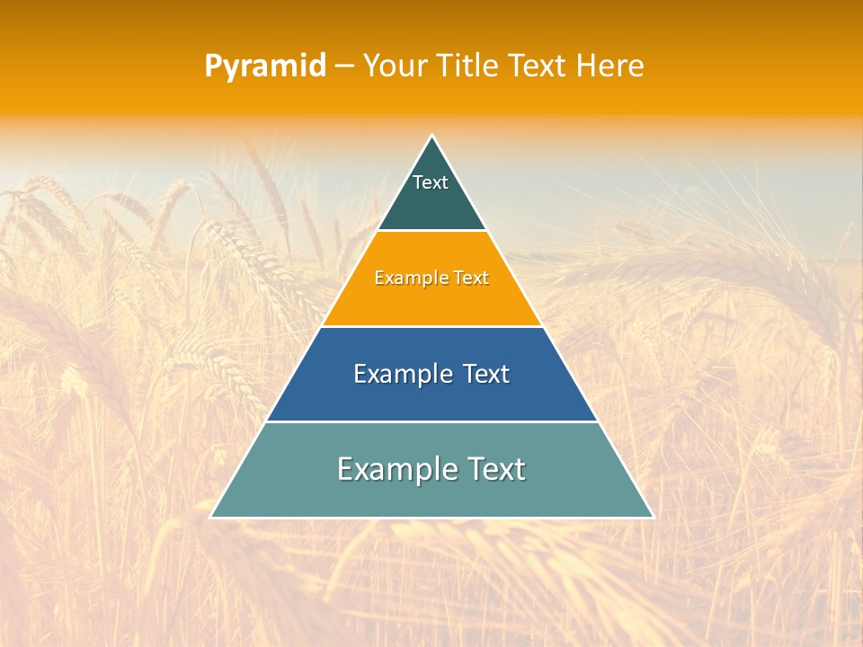 Group Farm Nobody PowerPoint Template