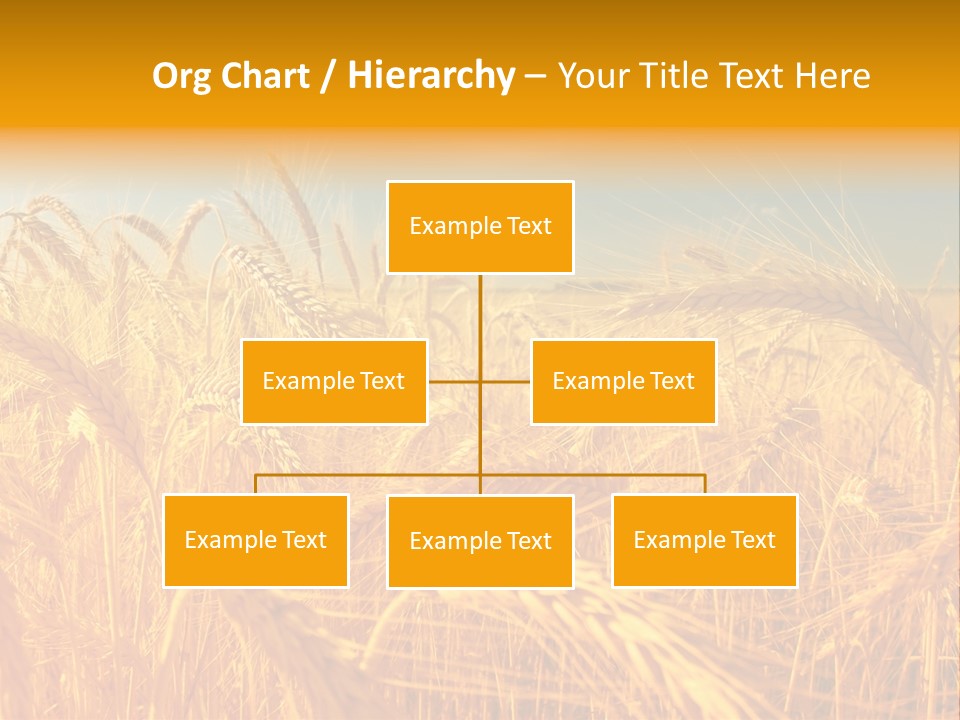 Group Farm Nobody PowerPoint Template