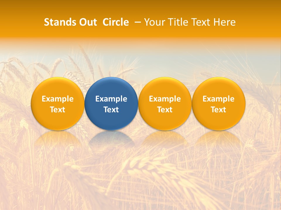 Group Farm Nobody PowerPoint Template