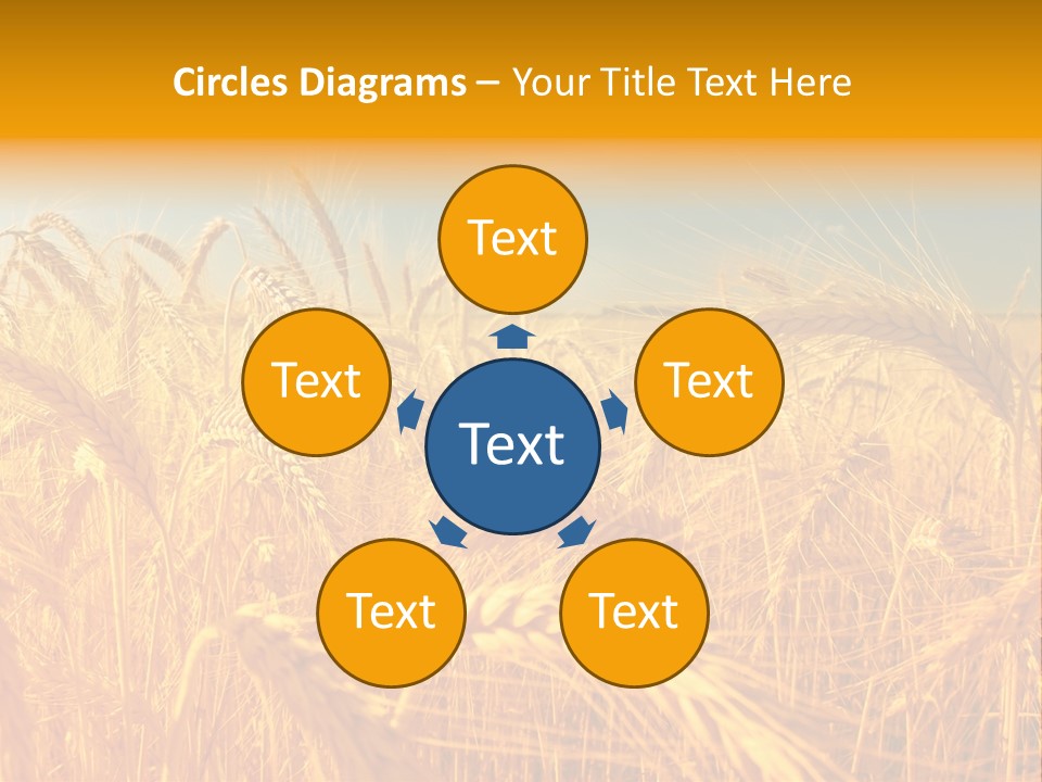 Group Farm Nobody PowerPoint Template