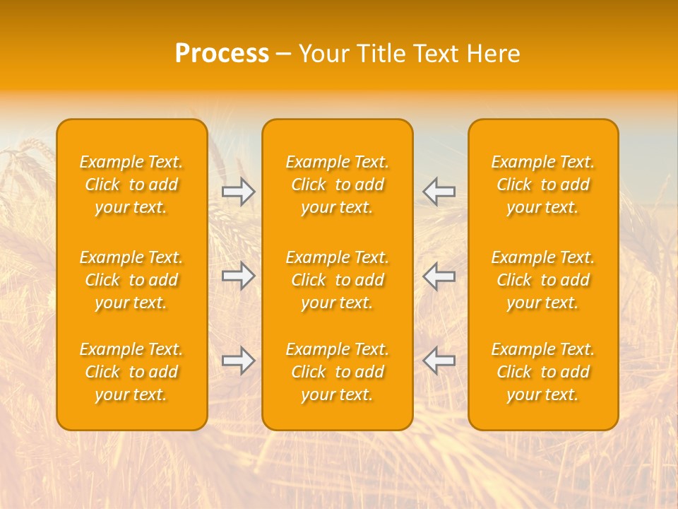 Group Farm Nobody PowerPoint Template