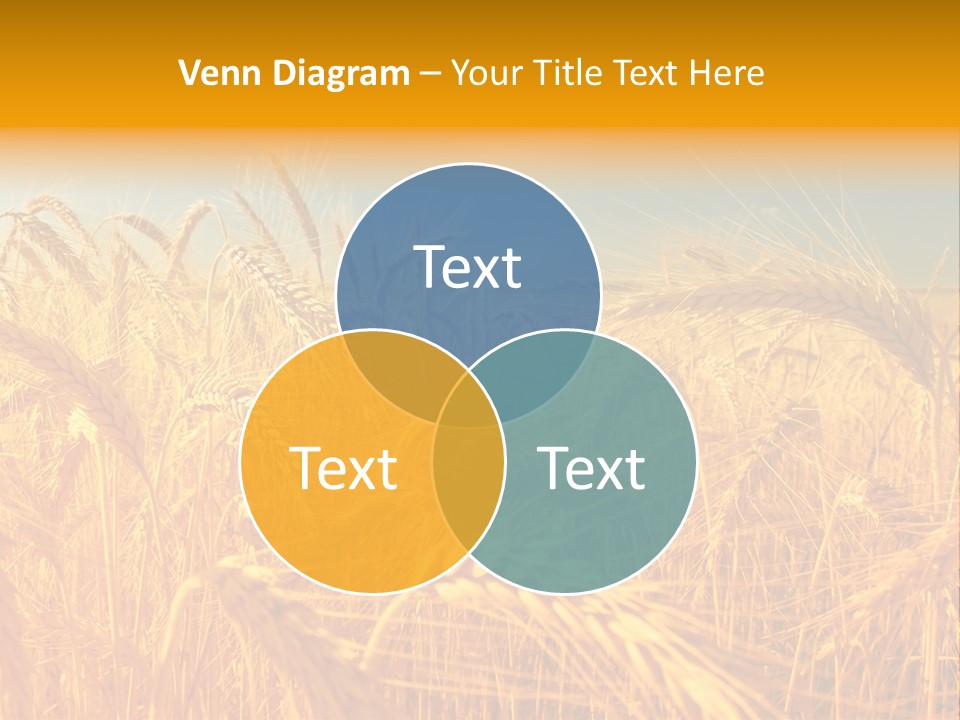 Group Farm Nobody PowerPoint Template