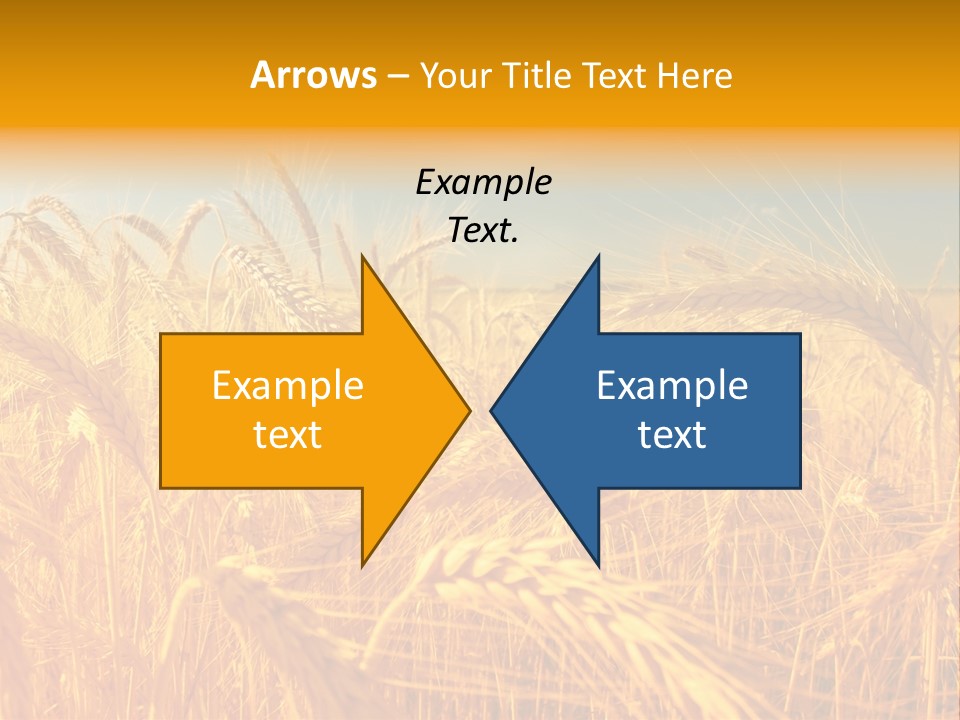 Group Farm Nobody PowerPoint Template