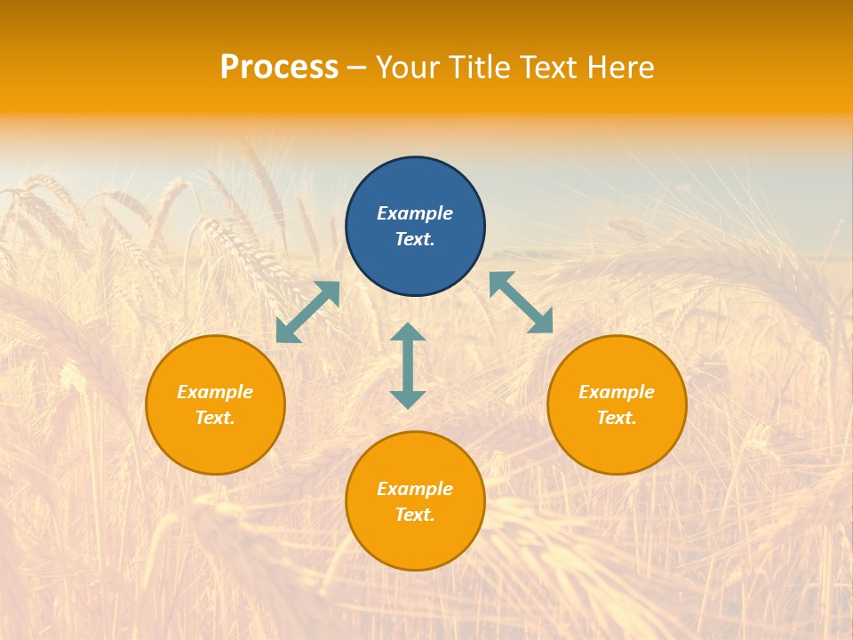 Group Farm Nobody PowerPoint Template