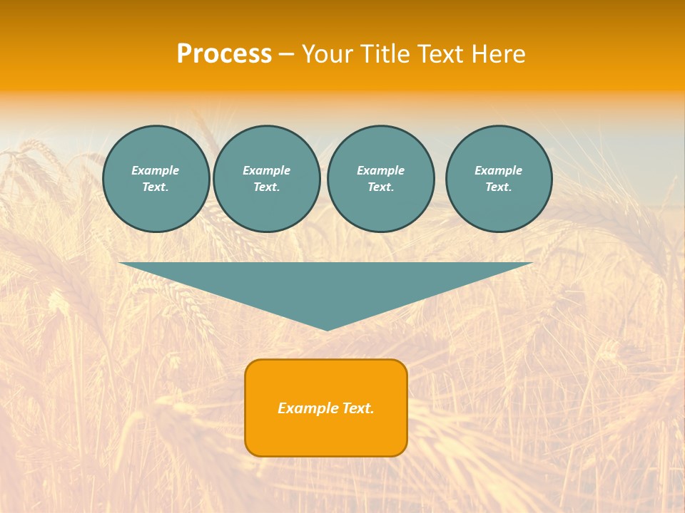 Group Farm Nobody PowerPoint Template