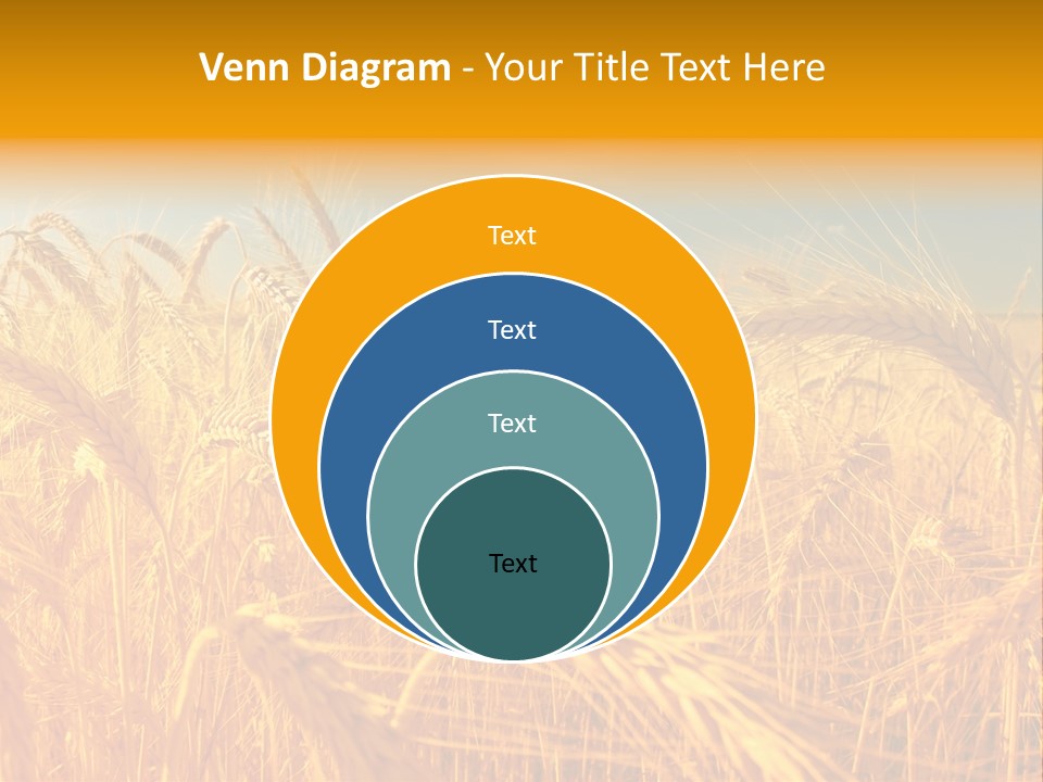 Group Farm Nobody PowerPoint Template