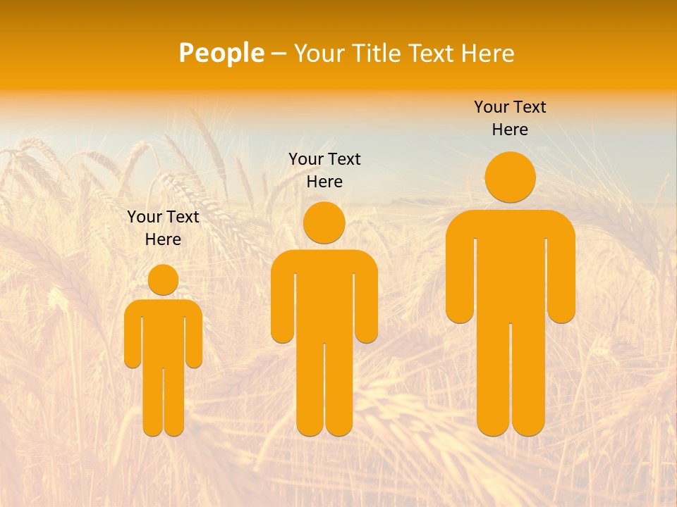 Group Farm Nobody PowerPoint Template