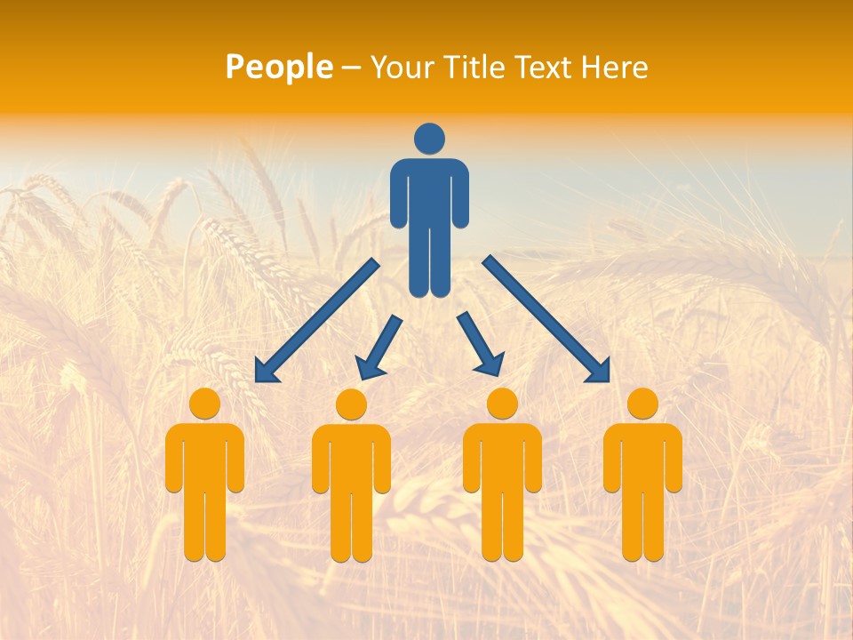 Group Farm Nobody PowerPoint Template