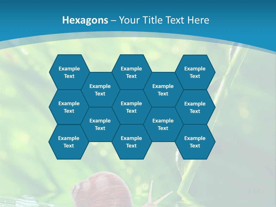 Creatures Daylight Background PowerPoint Template