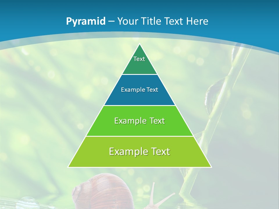 Creatures Daylight Background PowerPoint Template