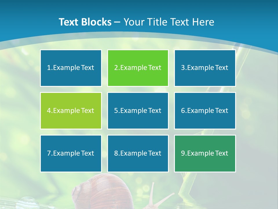 Creatures Daylight Background PowerPoint Template