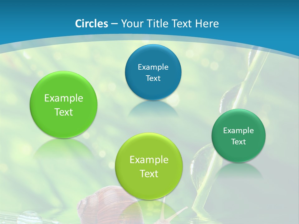 Creatures Daylight Background PowerPoint Template