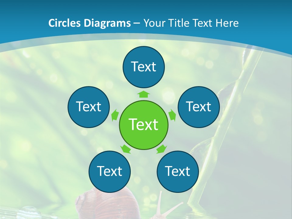 Creatures Daylight Background PowerPoint Template