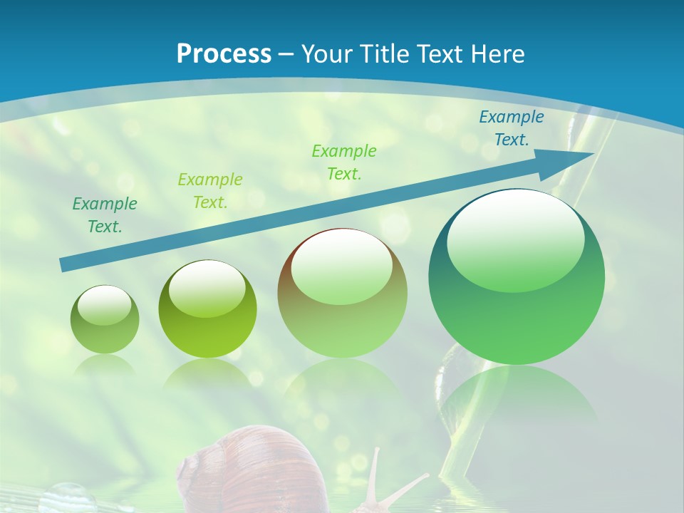 Creatures Daylight Background PowerPoint Template