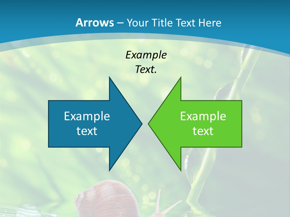 Creatures Daylight Background PowerPoint Template