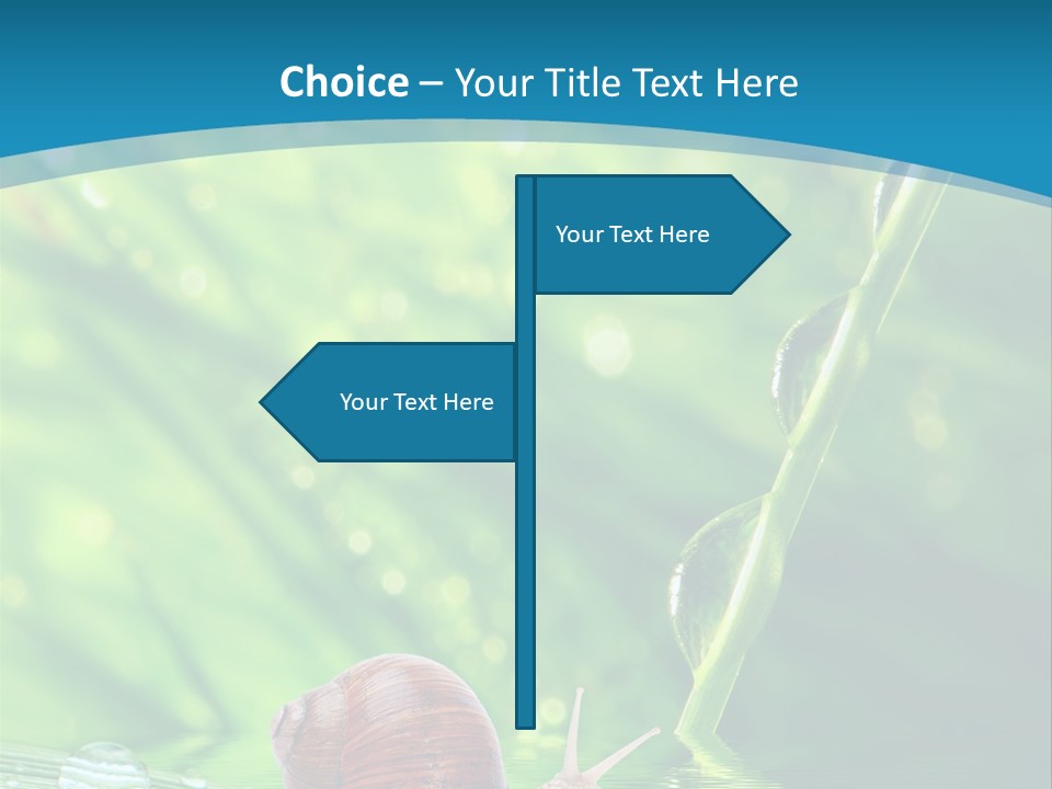 Creatures Daylight Background PowerPoint Template