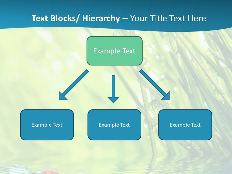 Humor Natural Background Meadow PowerPoint Template