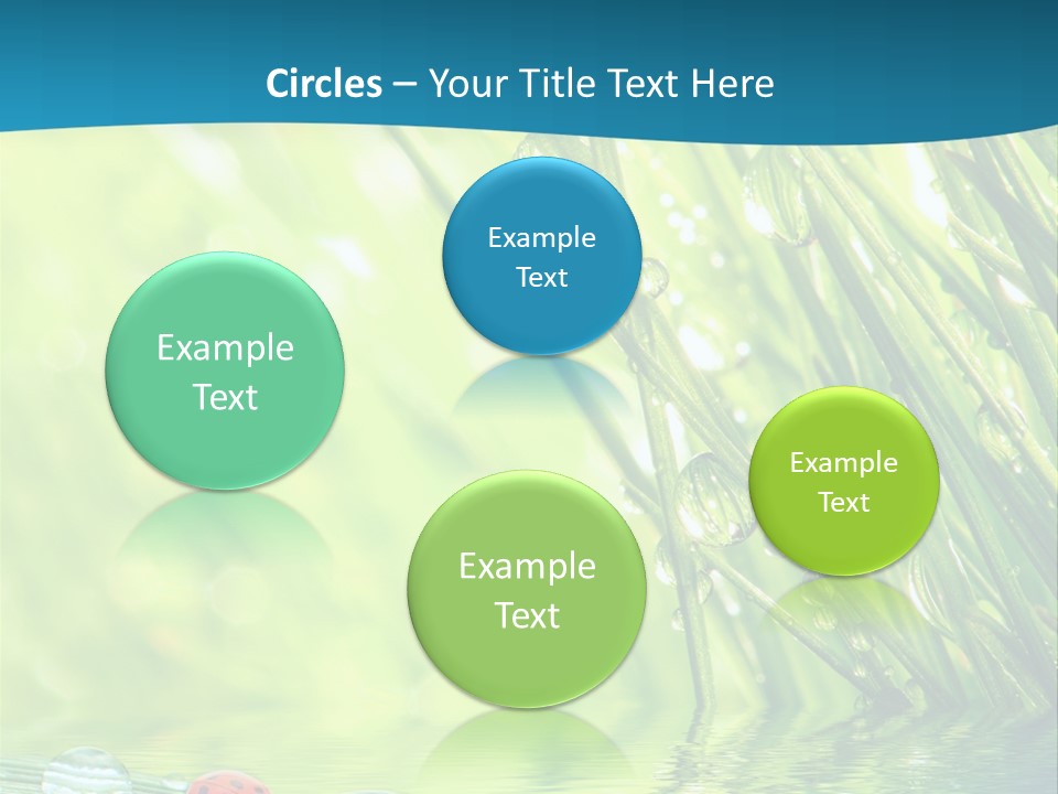 Humor Natural Background Meadow PowerPoint Template