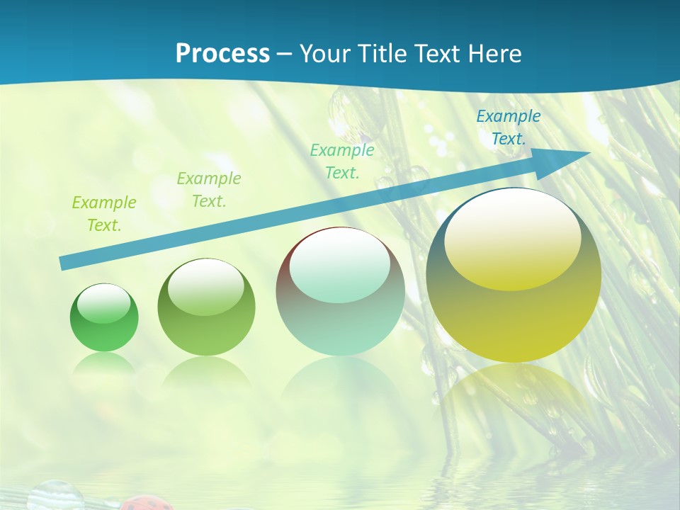 Humor Natural Background Meadow PowerPoint Template