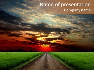 Path Field Forest PowerPoint Template