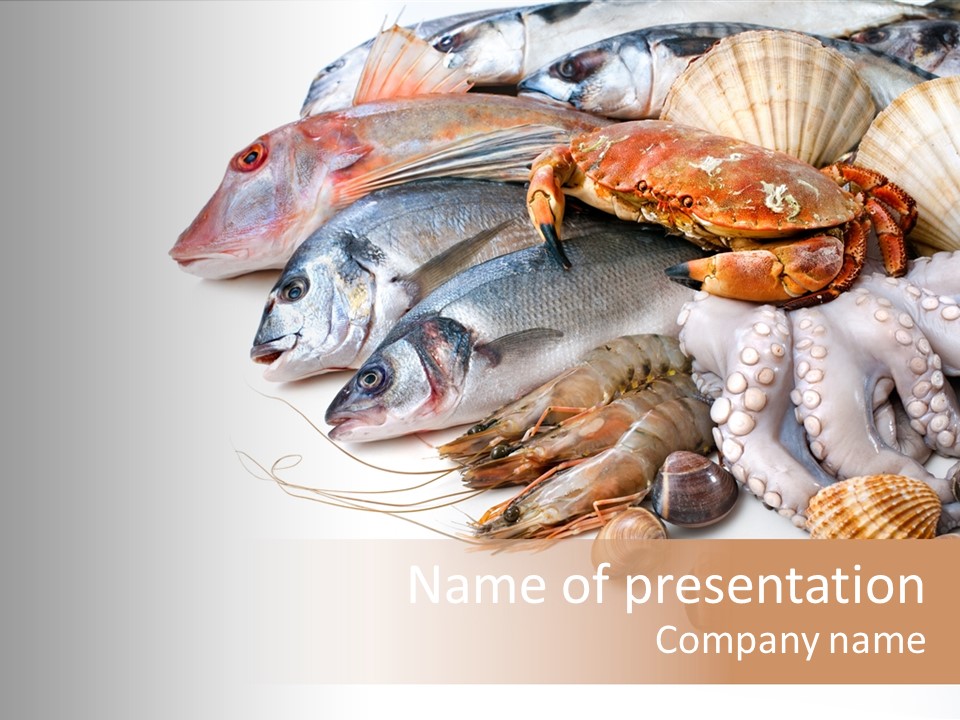 Market Moronidae Shell PowerPoint Template