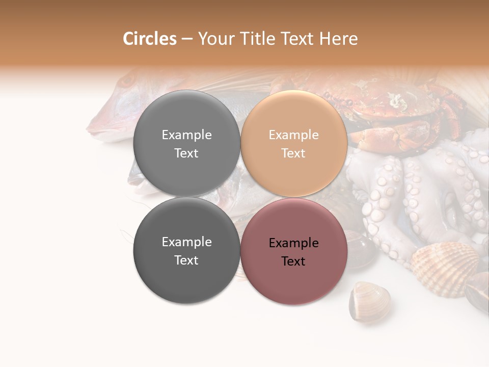 Market Moronidae Shell PowerPoint Template