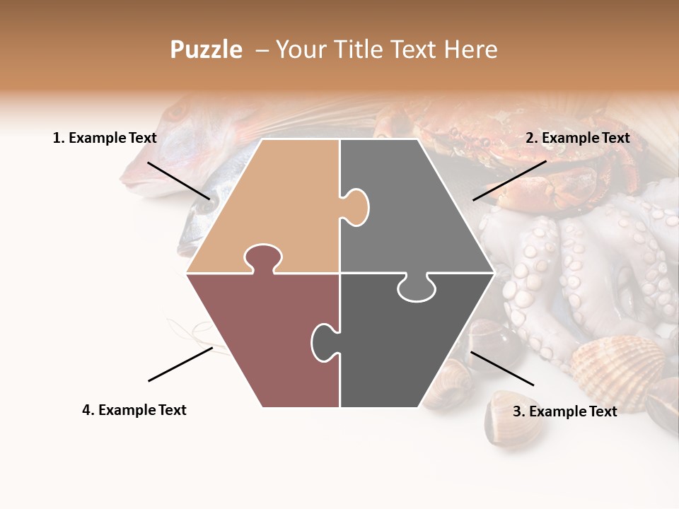 Market Moronidae Shell PowerPoint Template