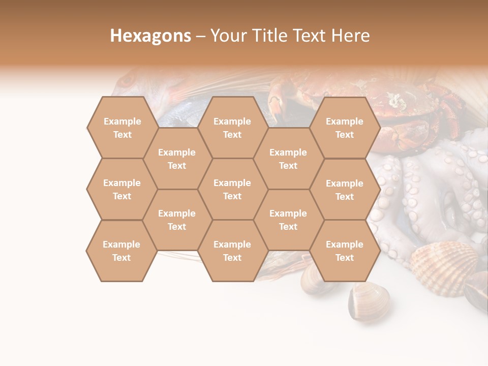 Market Moronidae Shell PowerPoint Template