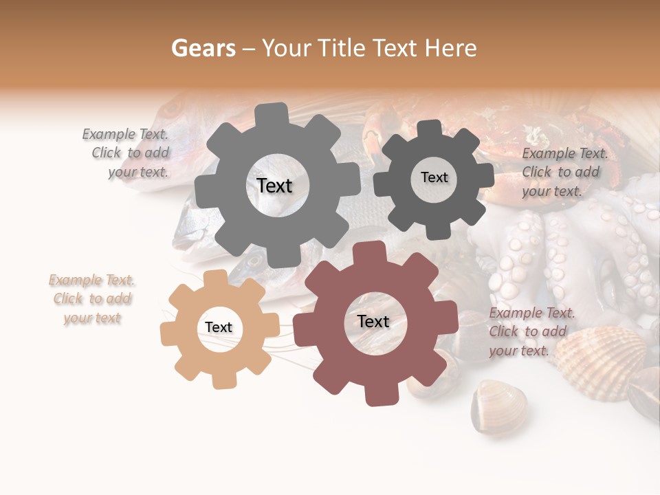 Market Moronidae Shell PowerPoint Template