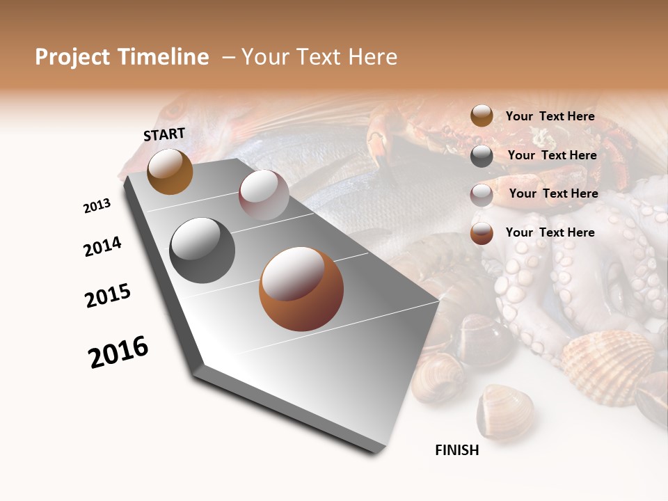 Market Moronidae Shell PowerPoint Template