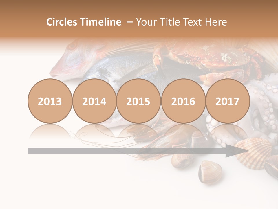 Market Moronidae Shell PowerPoint Template