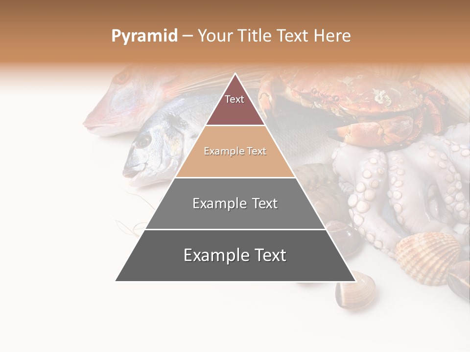 Market Moronidae Shell PowerPoint Template