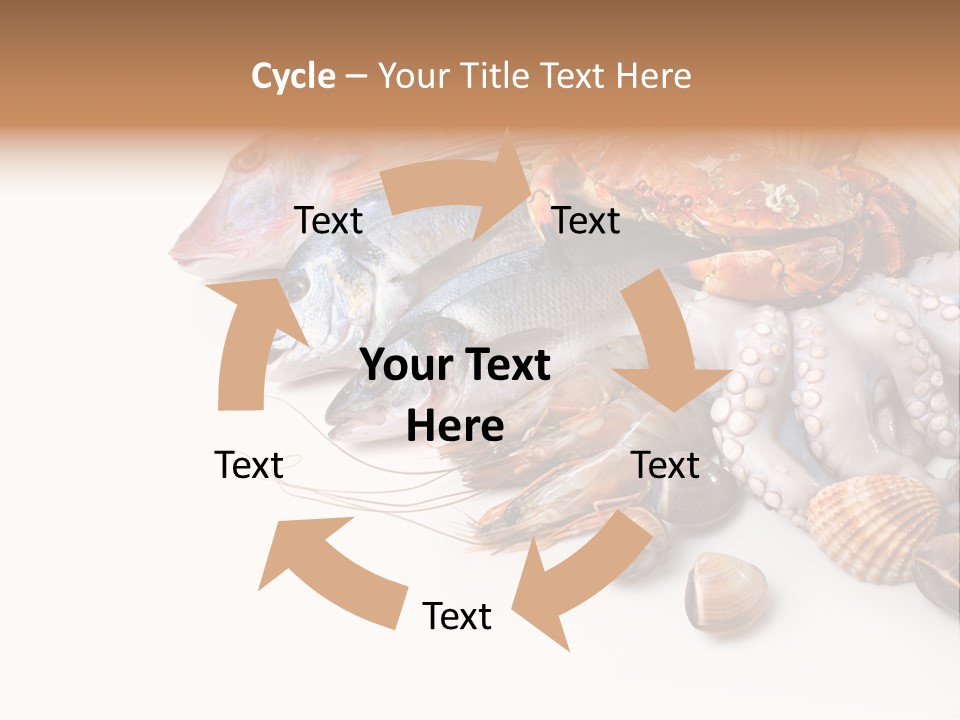 Market Moronidae Shell PowerPoint Template