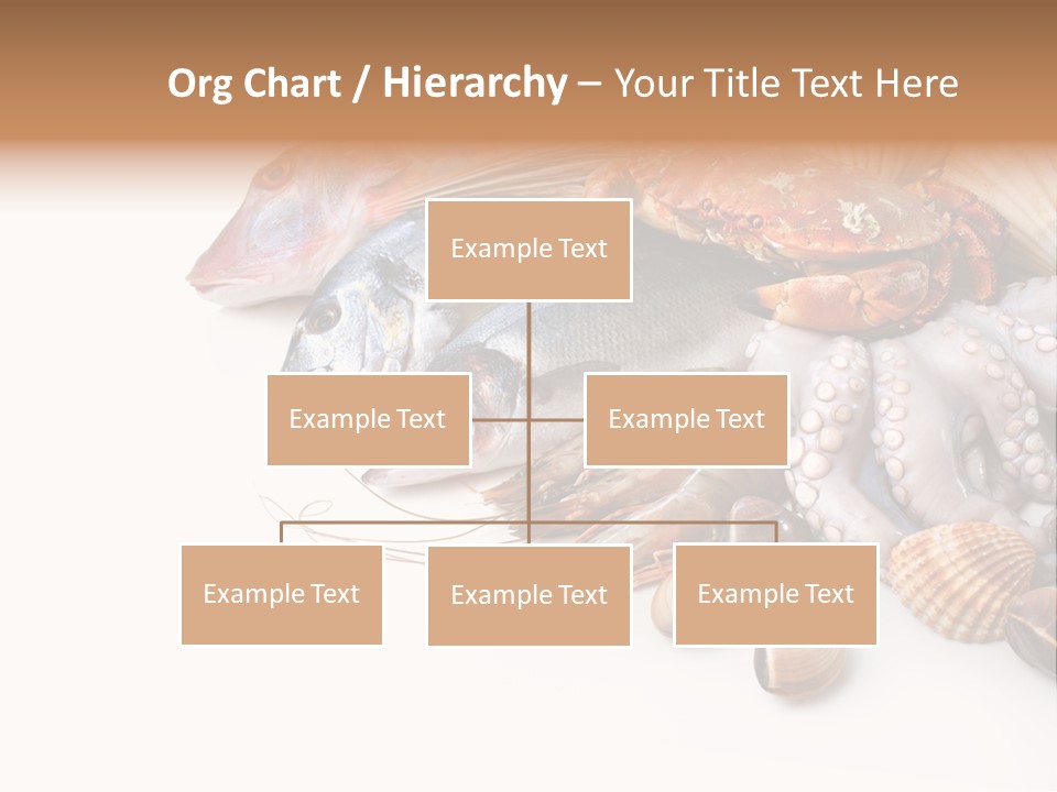 Market Moronidae Shell PowerPoint Template