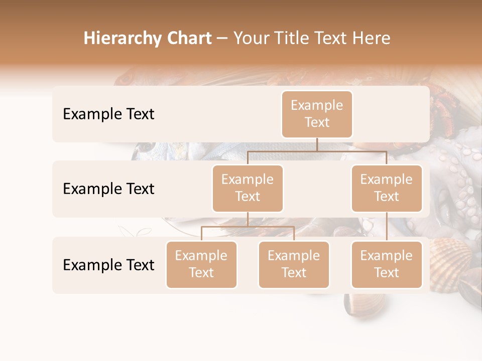 Market Moronidae Shell PowerPoint Template