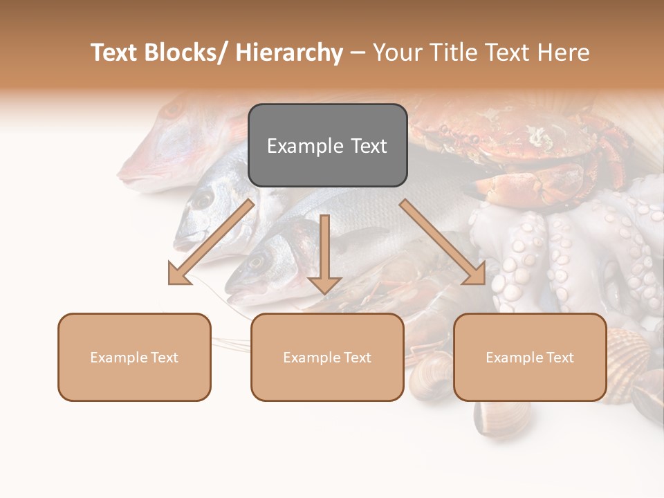Market Moronidae Shell PowerPoint Template