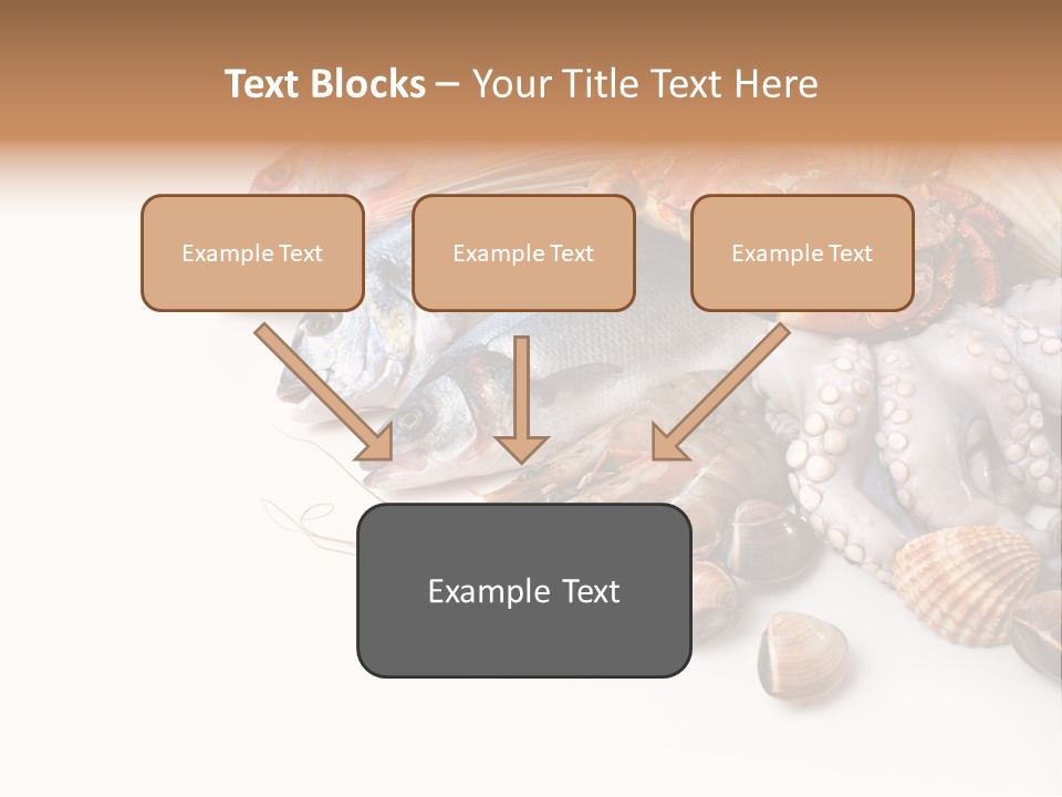 Market Moronidae Shell PowerPoint Template